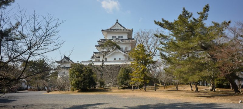 Iga Ueno Castle